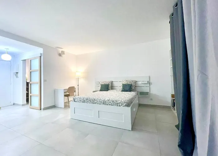 Le Petit Canotier * Paris